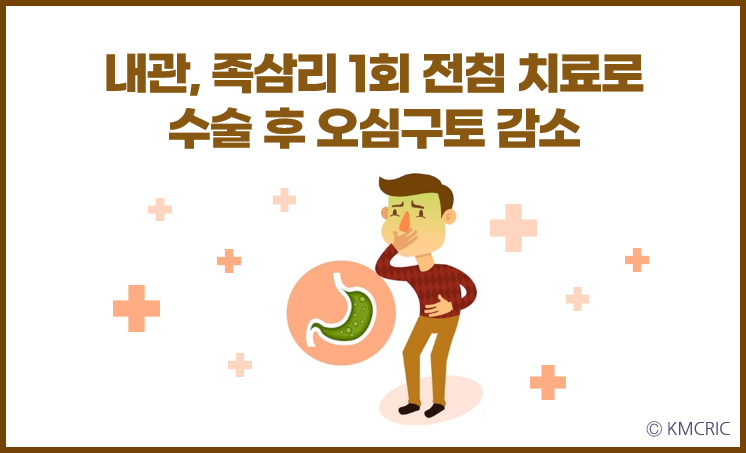 족삼리 이미지