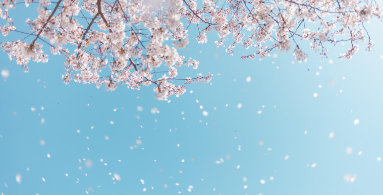 서울특별시립평화로운집 이미지