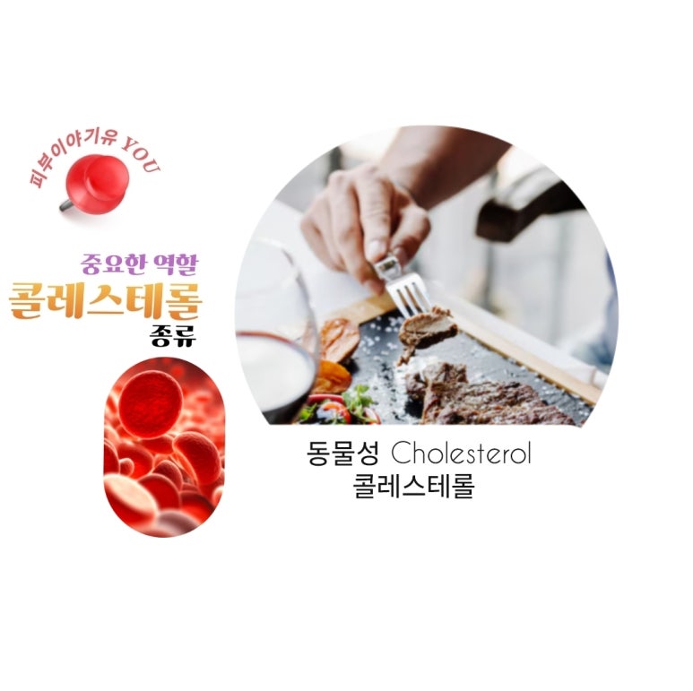 에이치디엘 이미지