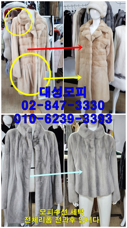 대성안감 이미지