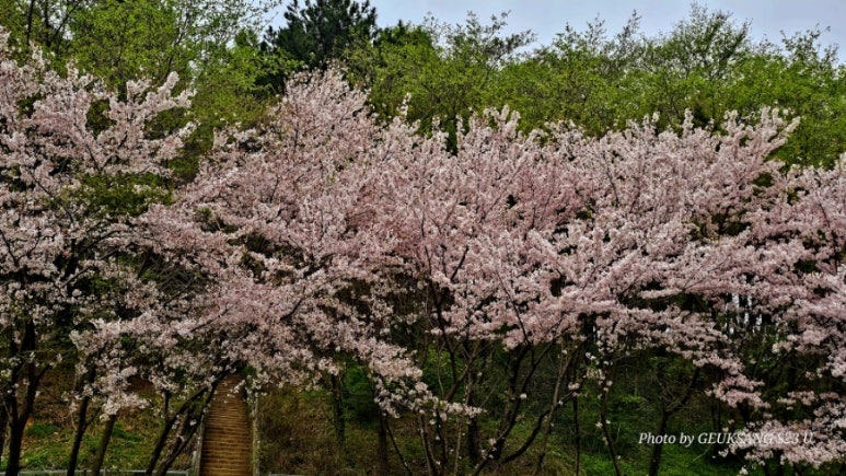 월아산 자연휴양림 이미지