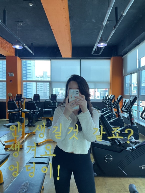 사계절면가 이미지