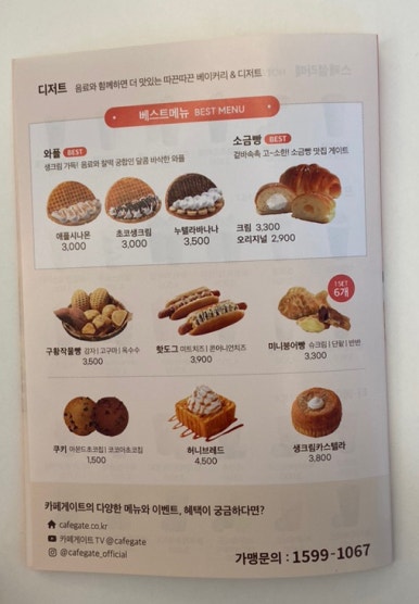 카페게이트대전 이미지