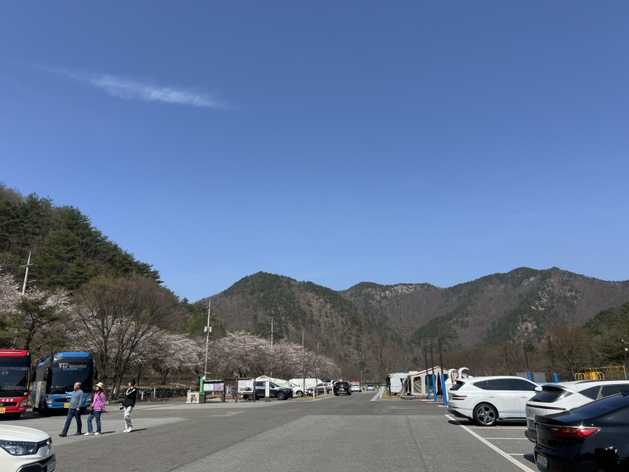 산꽃벚꽃오토캠핑장 이미지