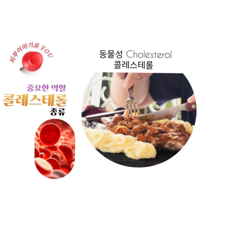 에이치디엘 이미지