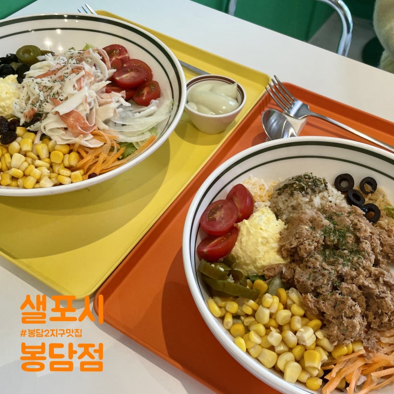 샐포시 이미지