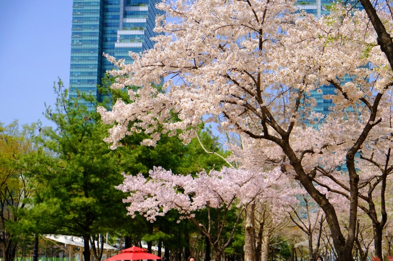 남자 미용실 이미지