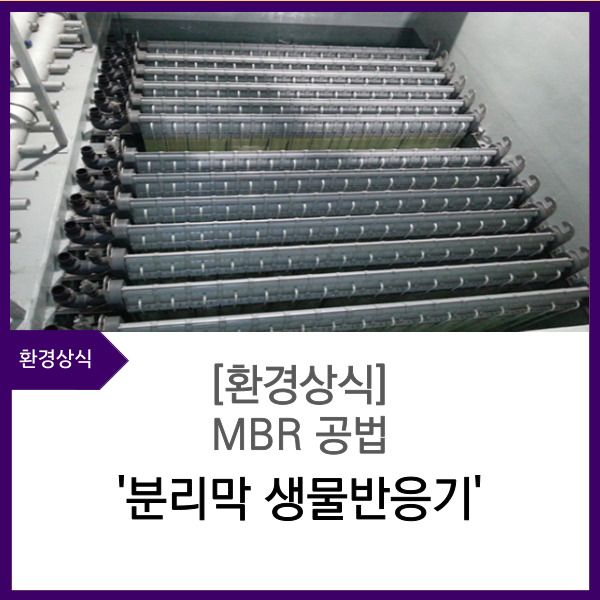 에닌주식회사 이미지