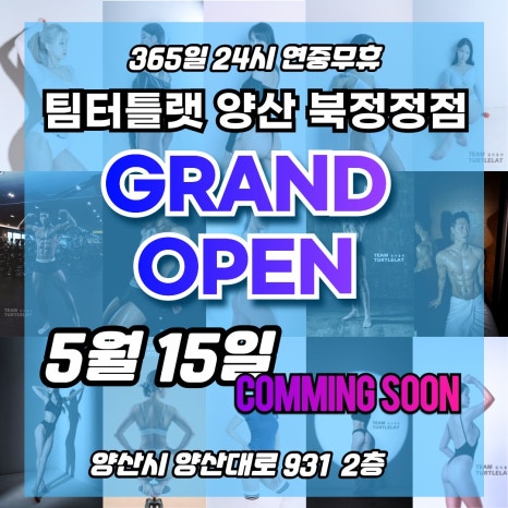 팀터틀랫양산북정점 이미지