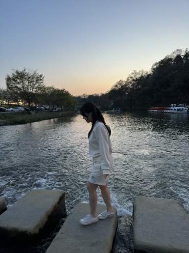 양지다실 이미지