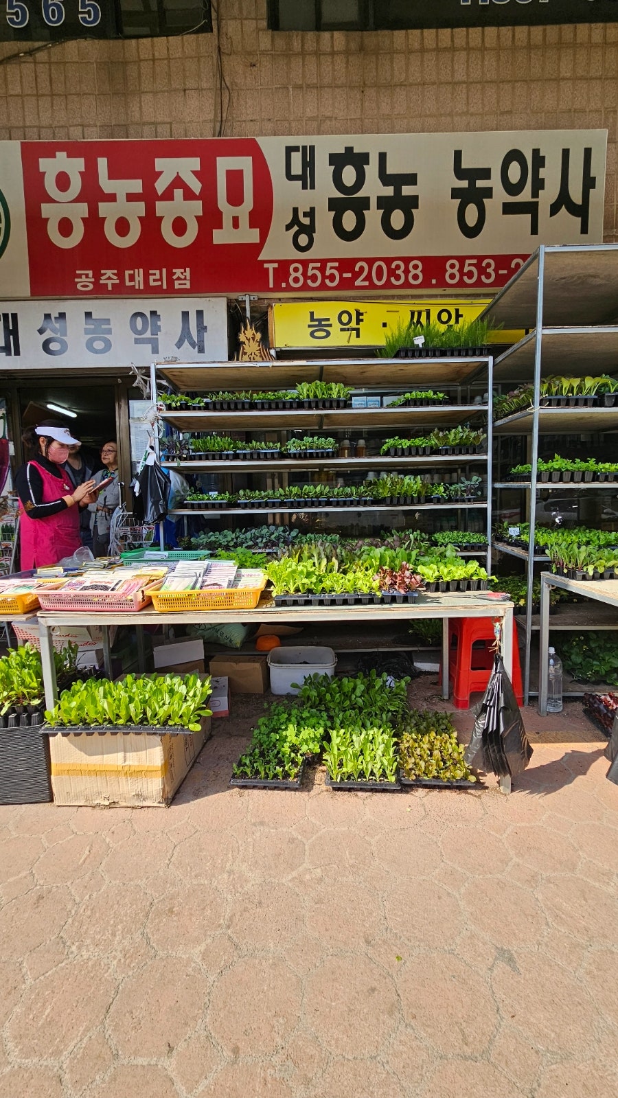 대성만물 이미지