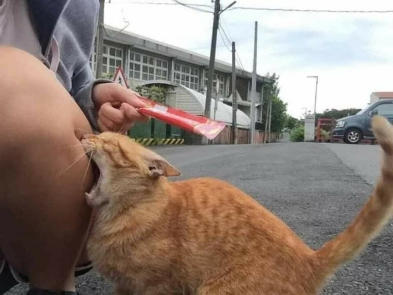 달콤한일상 이미지