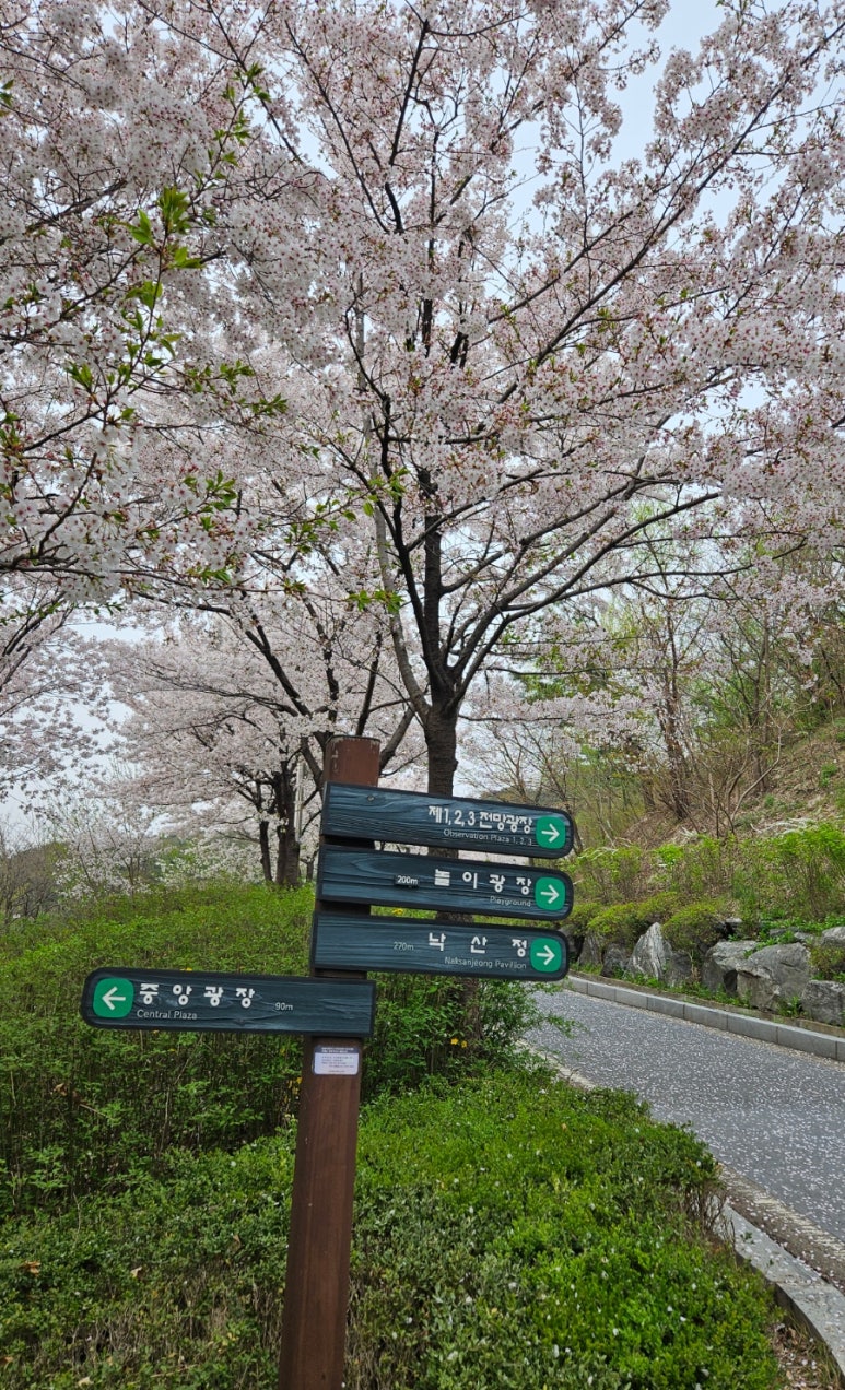 낙산코너 이미지