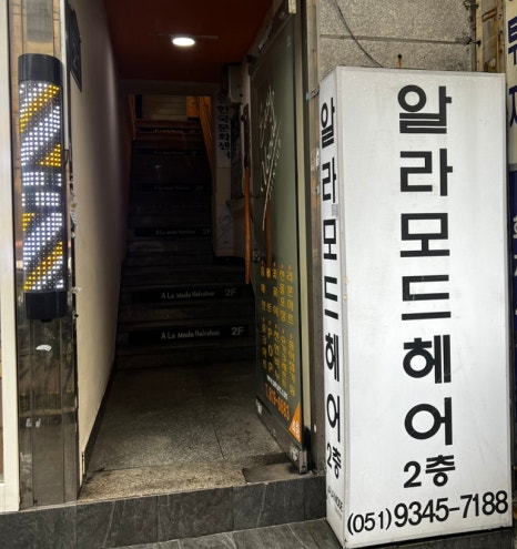 알라모드 이미지