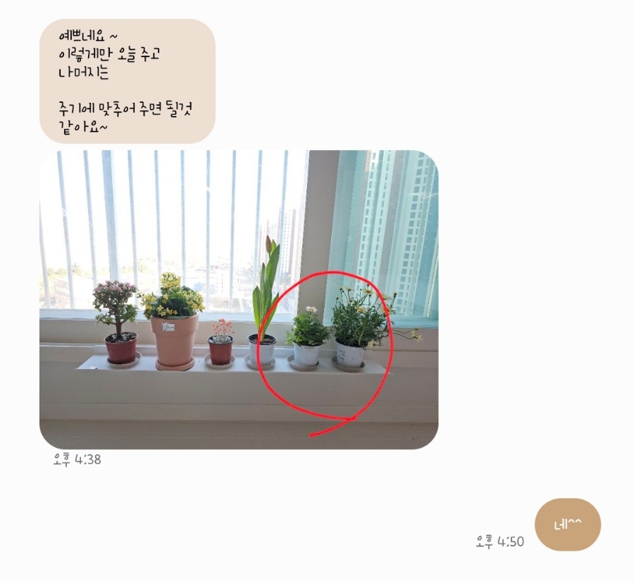 샤론꽃화원 이미지