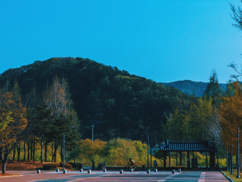 대구체육공원 이미지