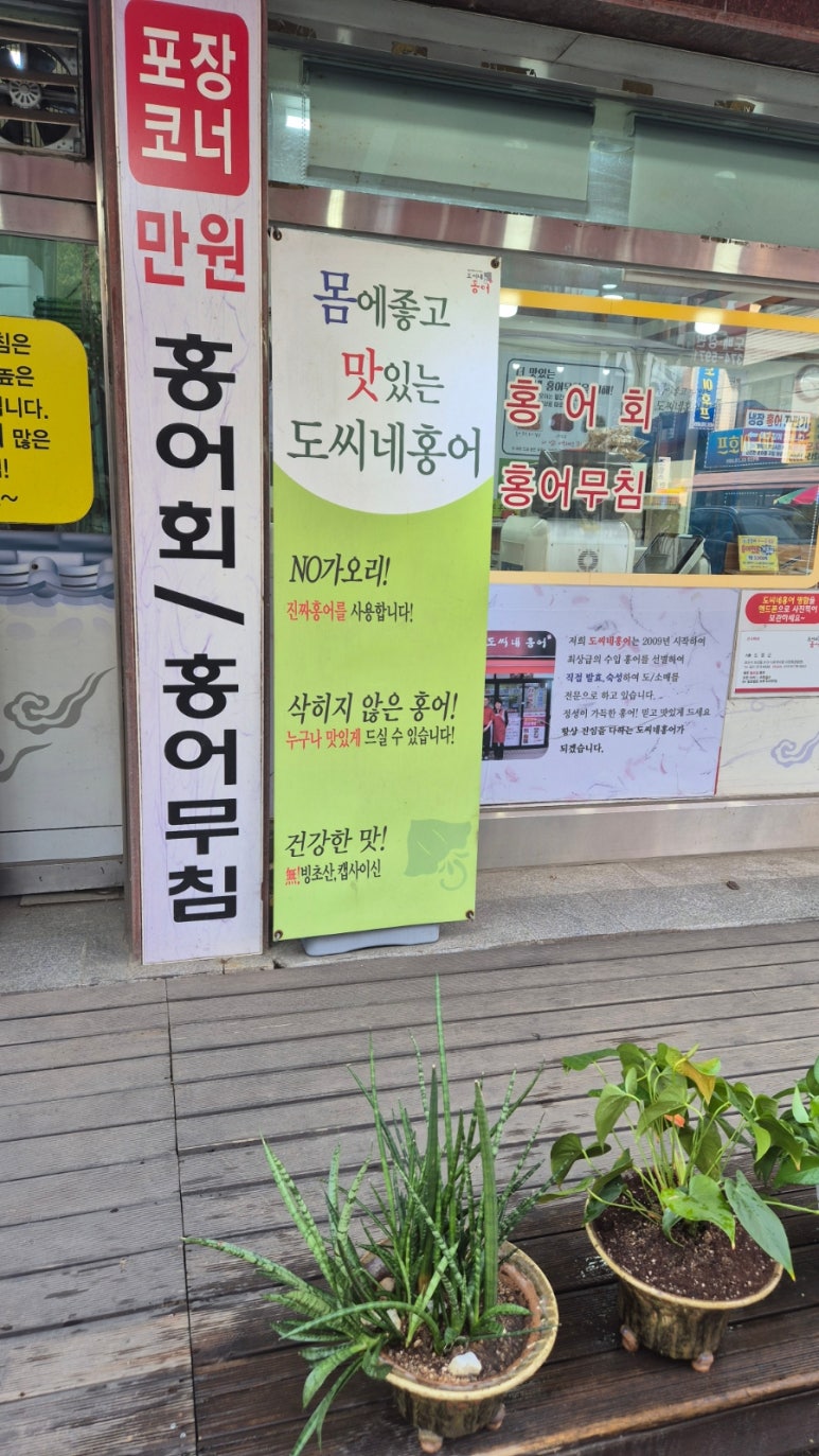 도씨네홍어 이미지