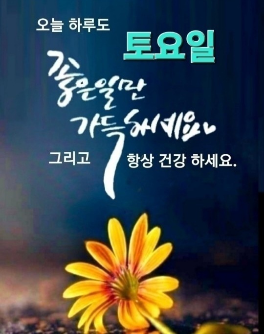 유레카(eureka) 이미지