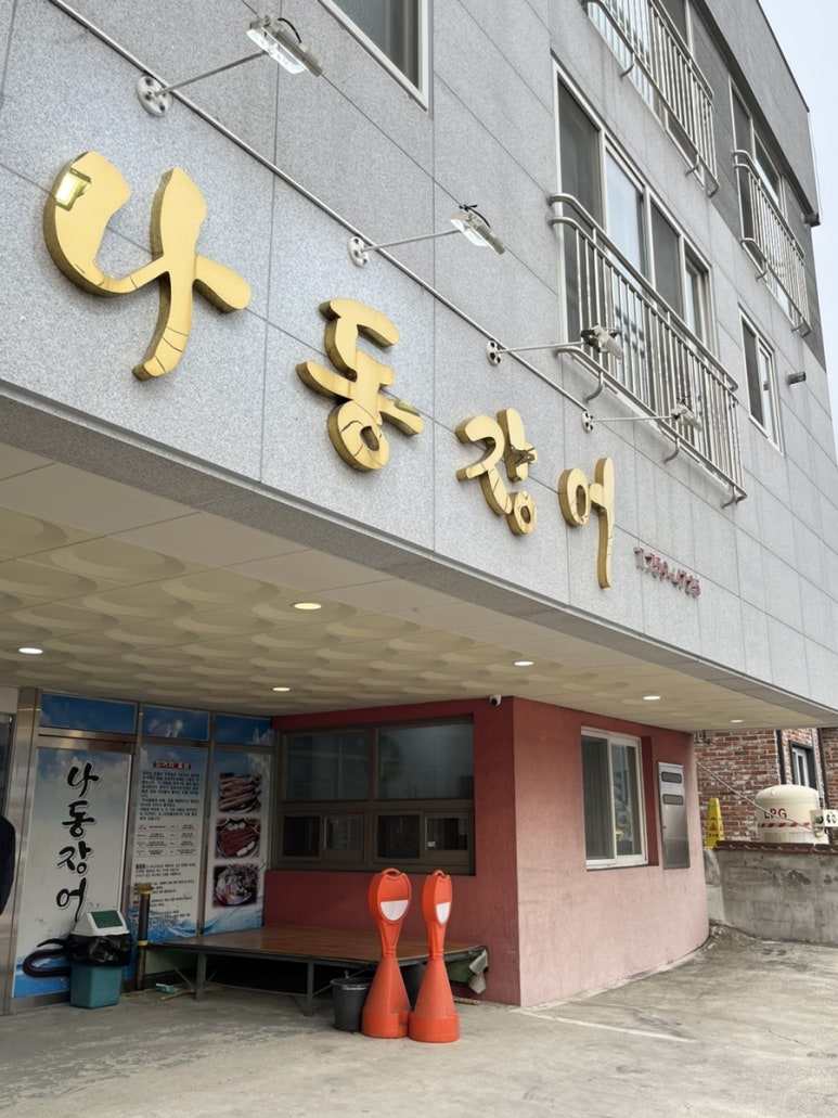 나동장어 이미지