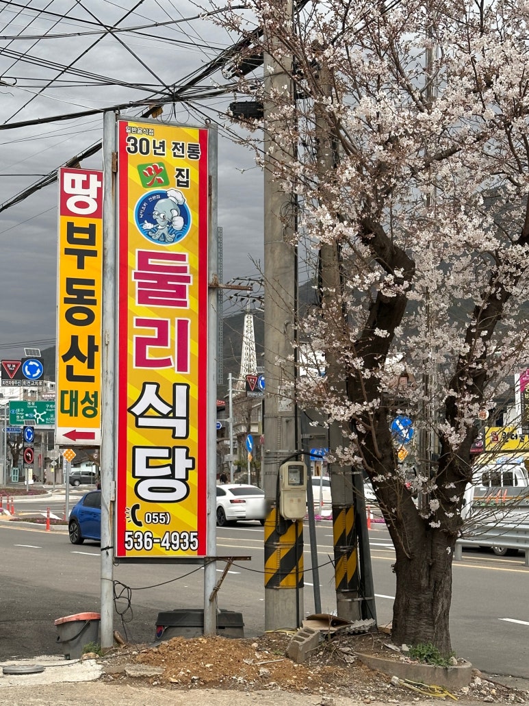 둘리식당 이미지