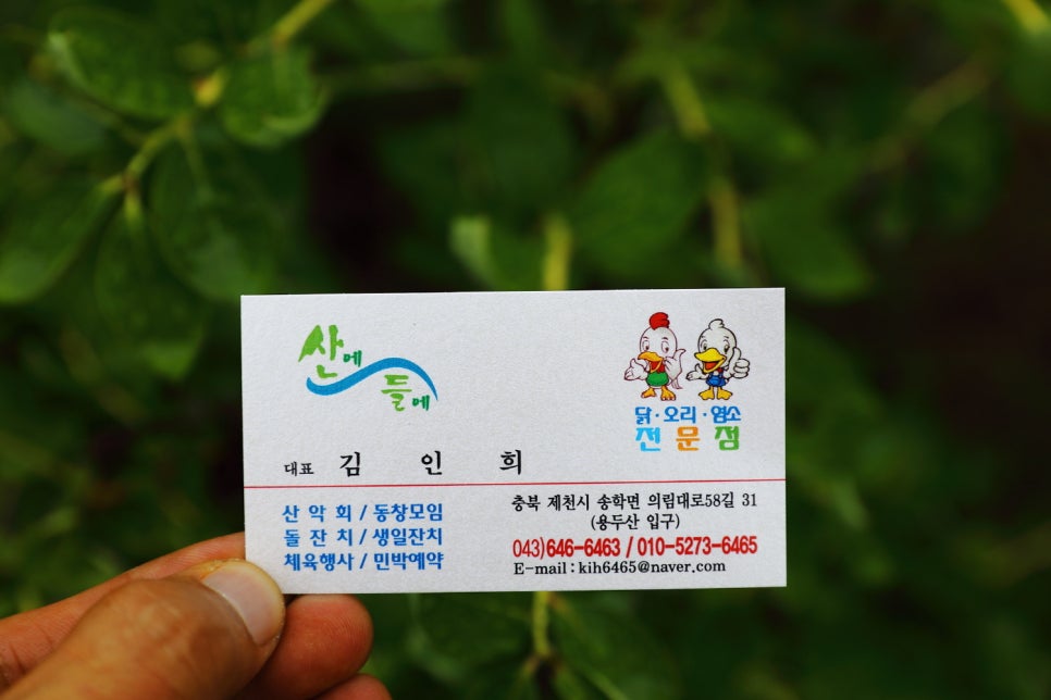 보신식당 이미지