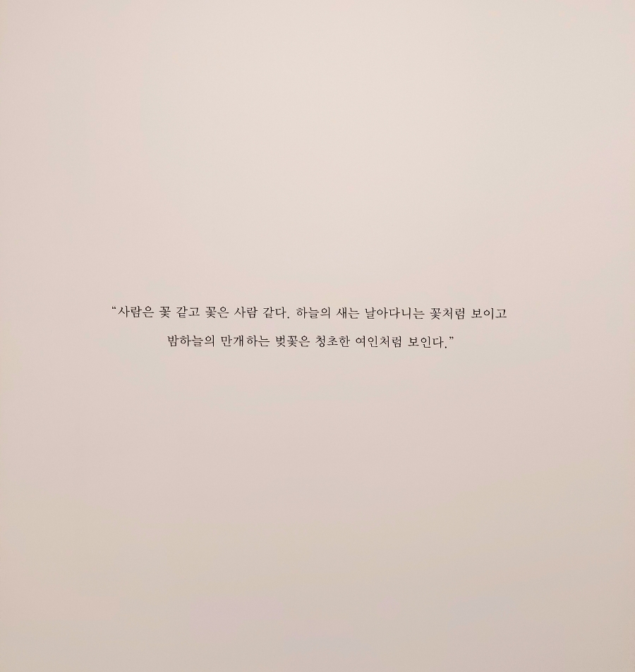 서울화랑 이미지