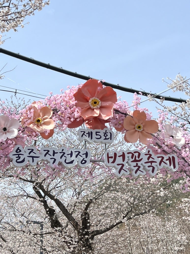 카페이니지오 이미지