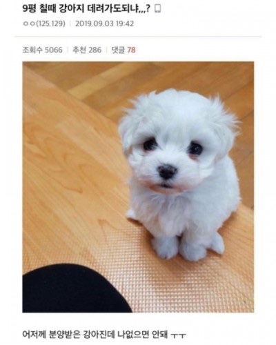 거참 이미지