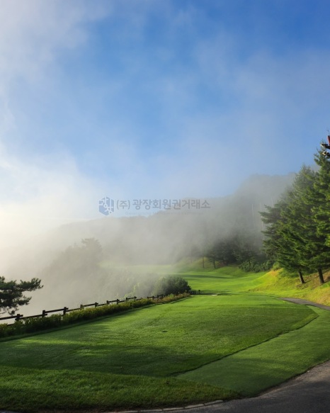 중앙골프 이미지