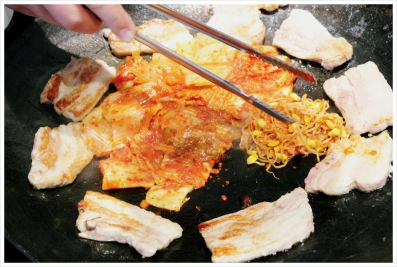 솥고집파주 이미지