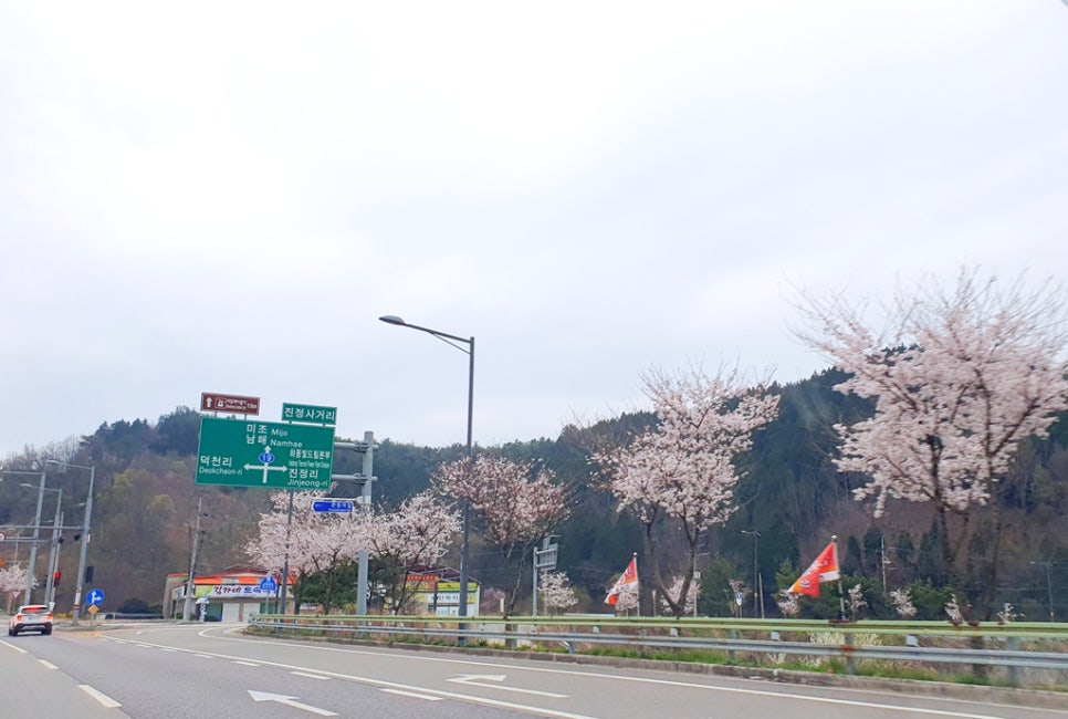 벨라마레 이미지