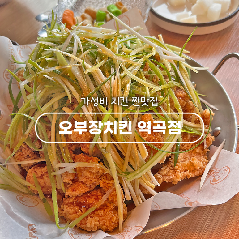오(O)치킨 이미지