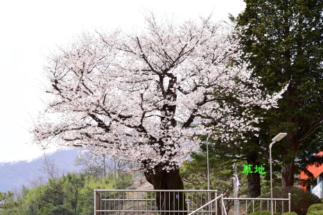 월등 초등학교 이미지