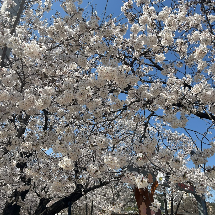 1218마트 이미지