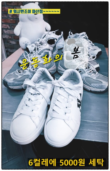 성지세탁 이미지