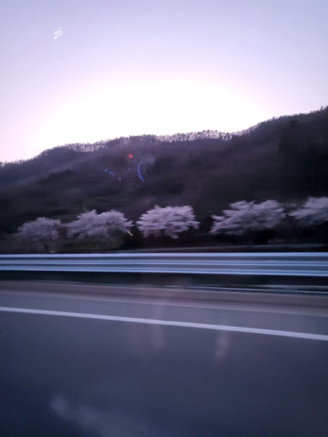 춘자네소금구이 이미지