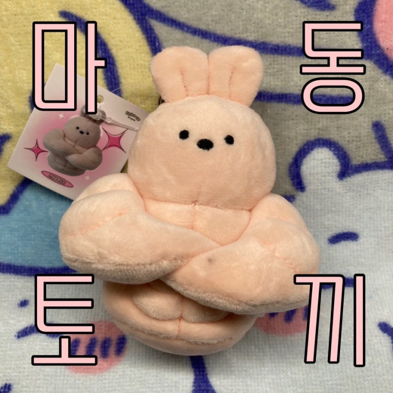라이트업스튜디오 이미지