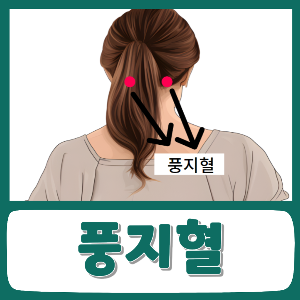 풍지혈 위치 효과 자극 방법 부작용 : 네이버 블로그