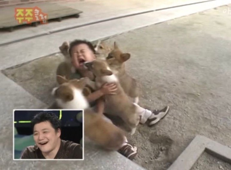 헤어하리 이미지