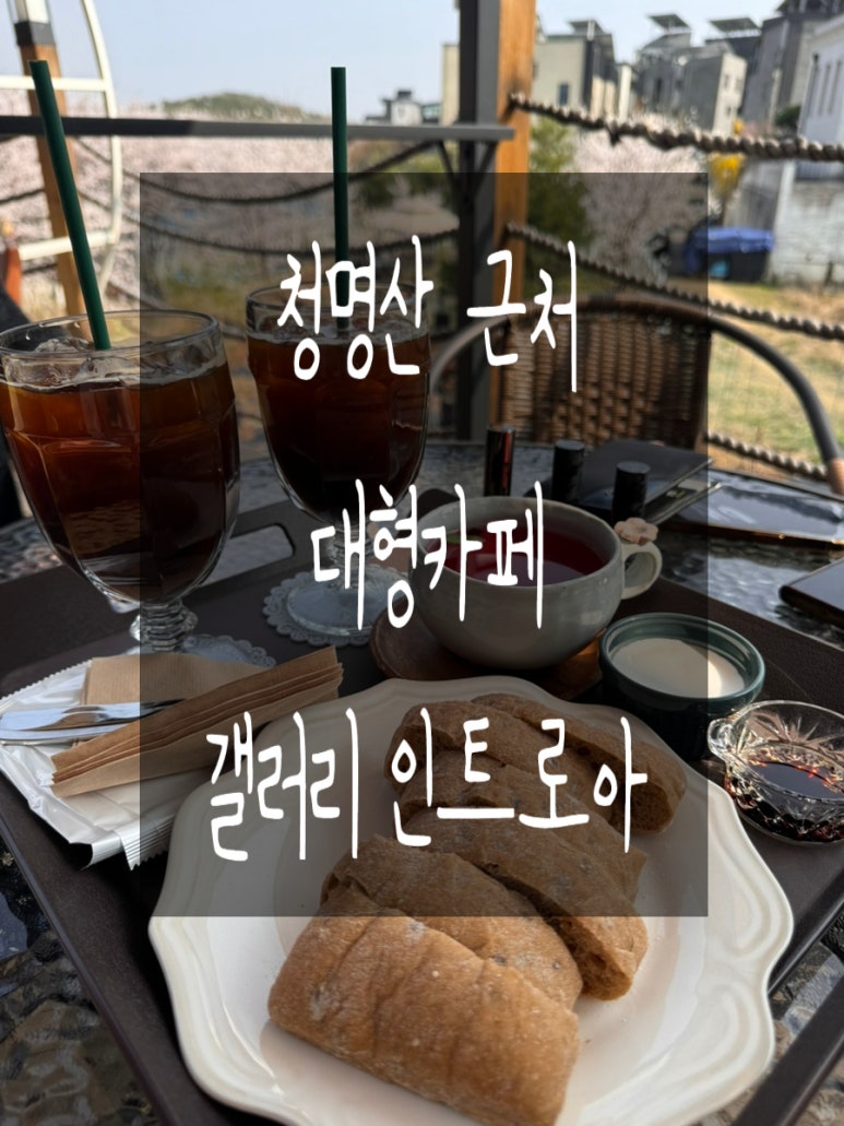 인트로아 이미지