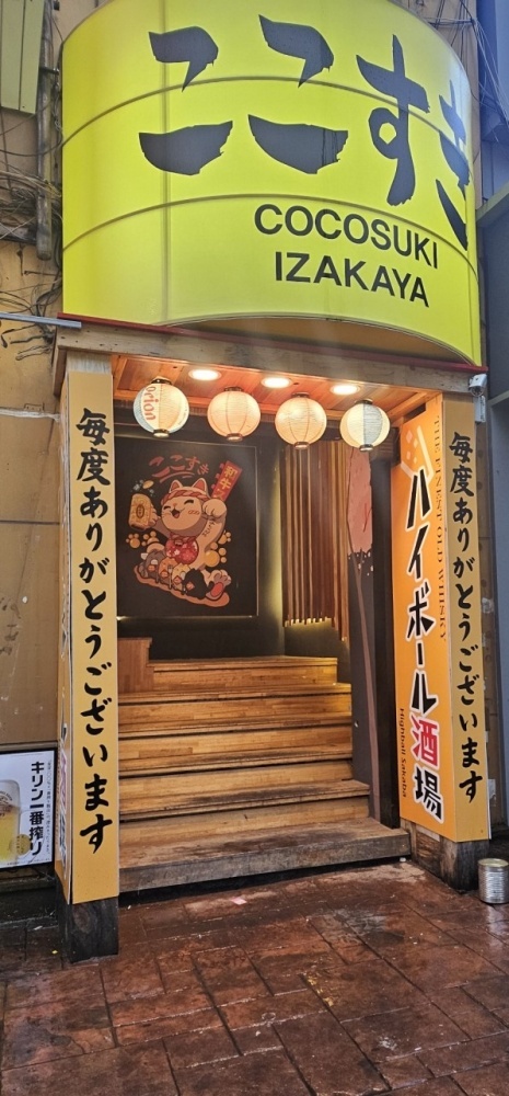 코코스키 이미지