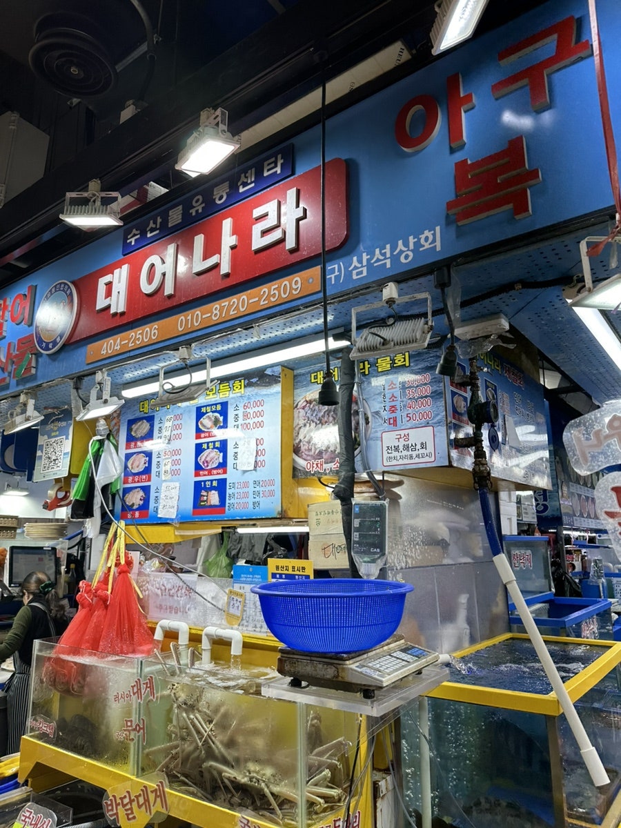 대어나라 이미지