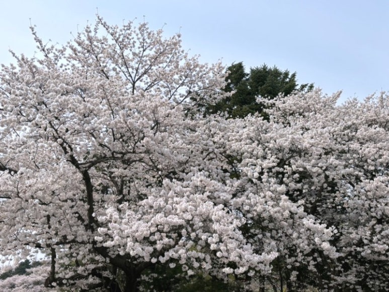 디자인데이지 이미지