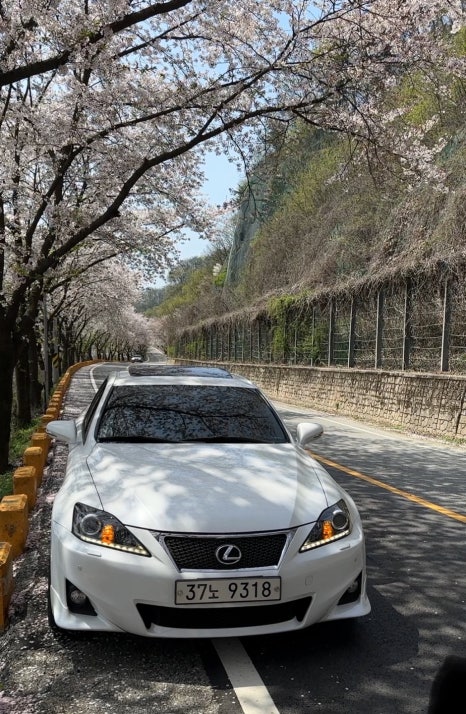 구도일주유소세종 이미지