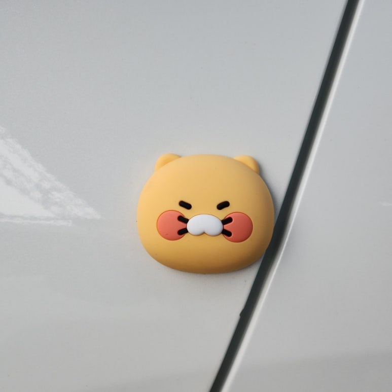 대형카세차장 이미지