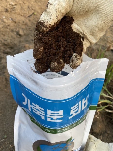 함양왕겨 이미지