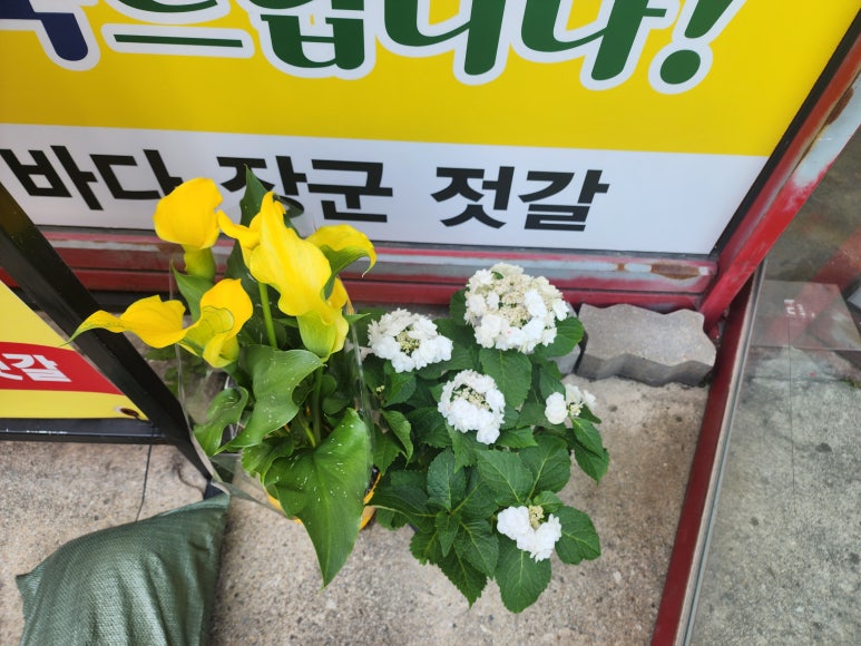 바다장군젓갈 이미지
