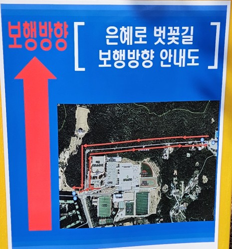 대학레포츠 이미지