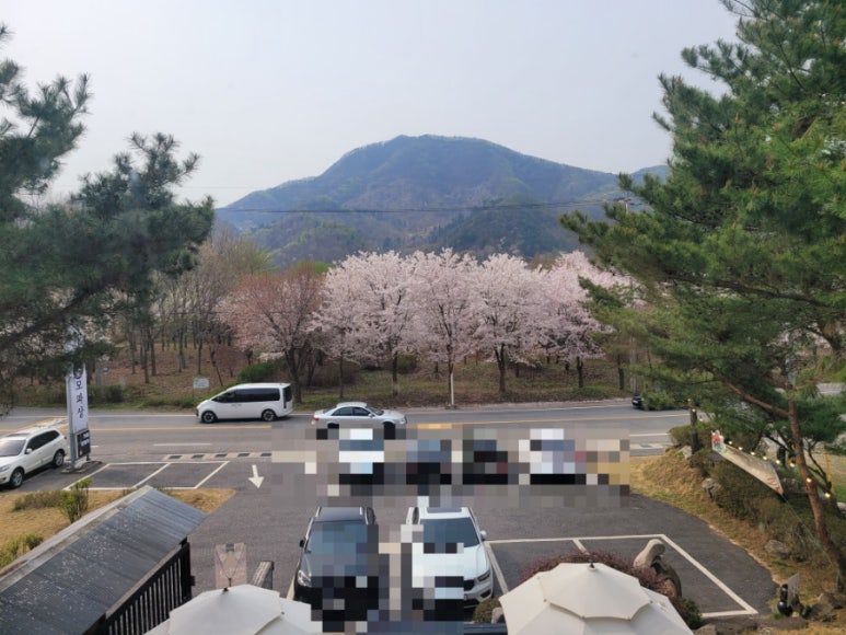 카페드모파상 이미지