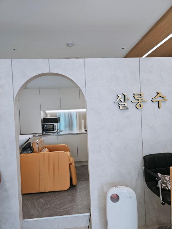 살롱 수 이미지